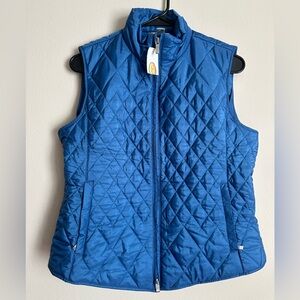 Blue Vest